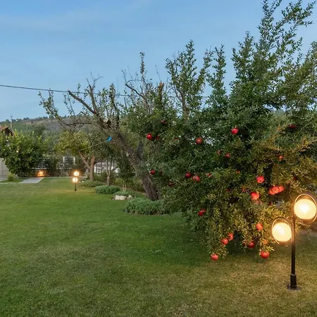 Castellano Vasiliki 度假居