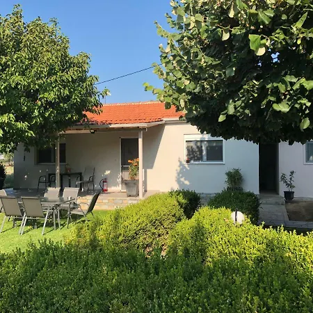 Castellano Vasiliki *